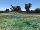 0 Sandpiper Ave / Bobolink St. - Photo 72