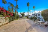 69411 Ramon Road - Photo 8