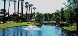 1279 Trofeo Circle - Photo 12