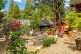 25106 Rim Rock Road - Photo 61