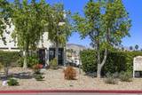 45421 Lupine - Photo 2