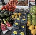 74711 Dillon Rd Spc 24 - Photo 20