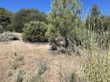Lot 27 Pipe Creek Road - Photo 6