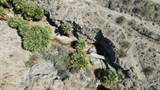 0 Painted Canyon Road - Photo 14