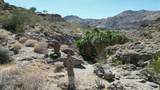 0 Painted Canyon Road - Photo 36