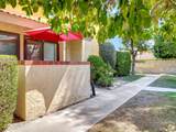 2600 Palm Canyon Canyon Drive - Photo 36