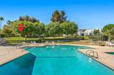 48680 Desert Flower Drive - Photo 14