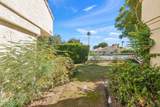 50006 Calle Rosarita - Photo 50