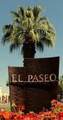 75405 Riviera Drive - Photo 43