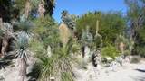 40848 Schafer Place - Photo 96