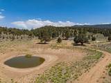550 Eagle Ridge - Photo 7