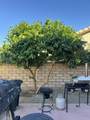 82774 Matthau Drive - Photo 7