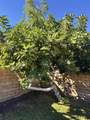 82774 Matthau Drive - Photo 8