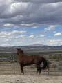 7077 Camp Rock Road - Photo 4