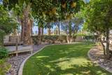 51730 Via Bendita - Photo 66