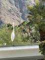 71581 Sahara Road - Photo 43