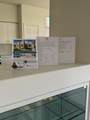 78289 Yucca Blossom Drive - Photo 12