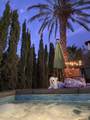 69160 San Helena Avenue - Photo 41