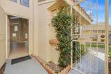 41710 Colada Court - Photo 7