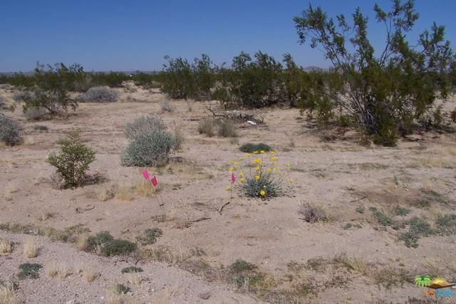 0 Chollita Road - Photo 1