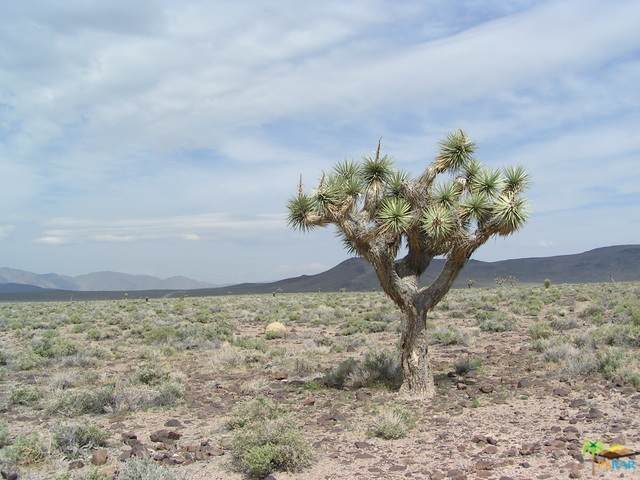 1862 Sunkist Road - Photo 1