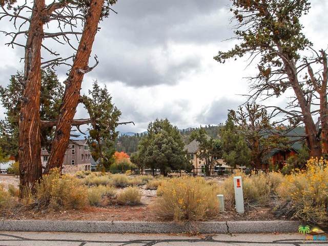 0 Bear Loop - Photo 1