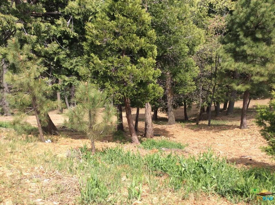 193 Mill Pond Lot 2 Road - Photo 1