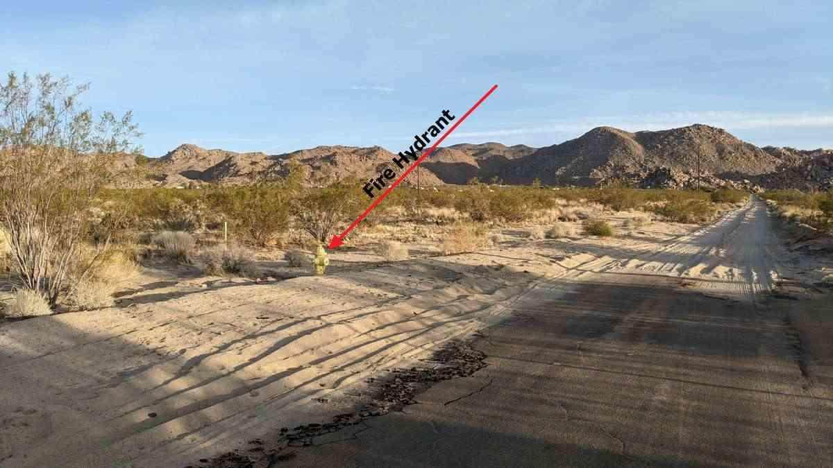 6742 Mile Square Road - Photo 1