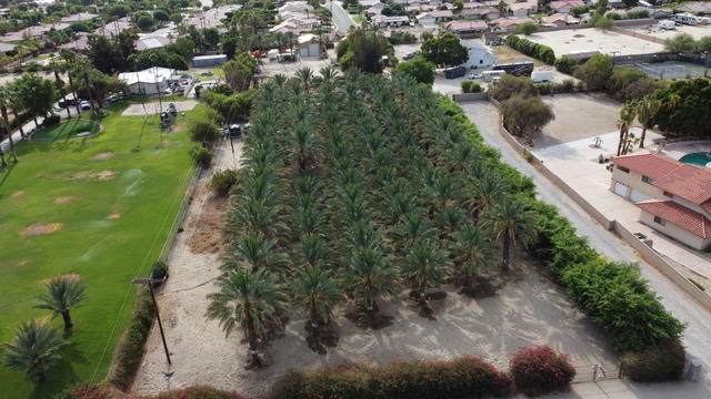 41480 Yucca Lane Lane - Photo 1