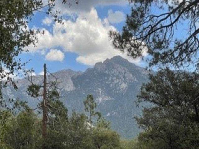 25000 Hwy 243 - Photo 1
