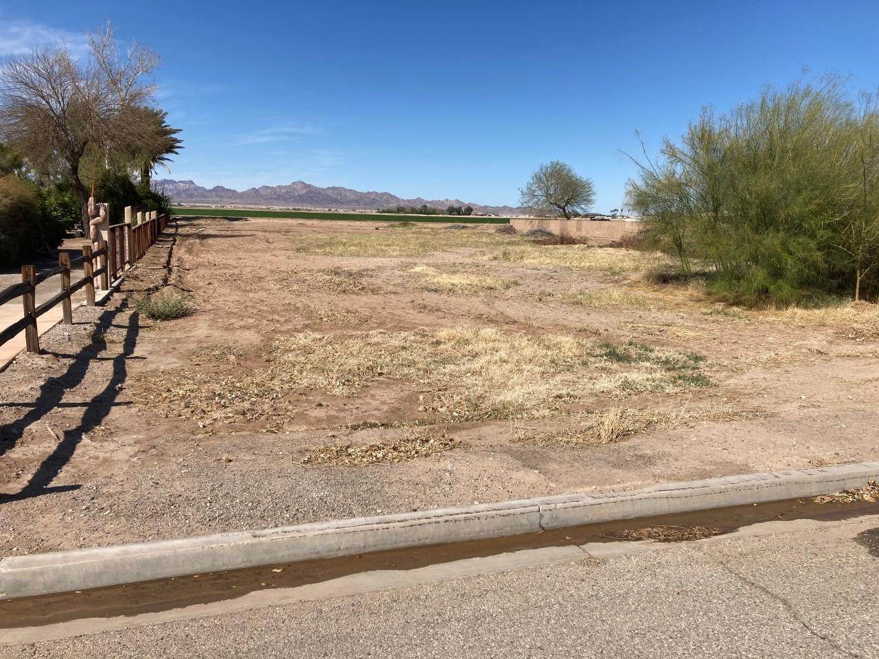 11408 Desert Trailways Lane - Photo 1