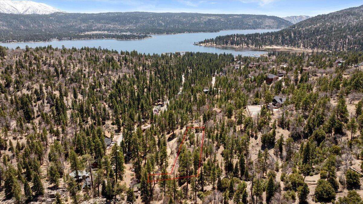 1286 Fawnskin Drive - Photo 1