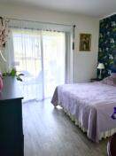 28740 Desert Princess Drive - Photo 4