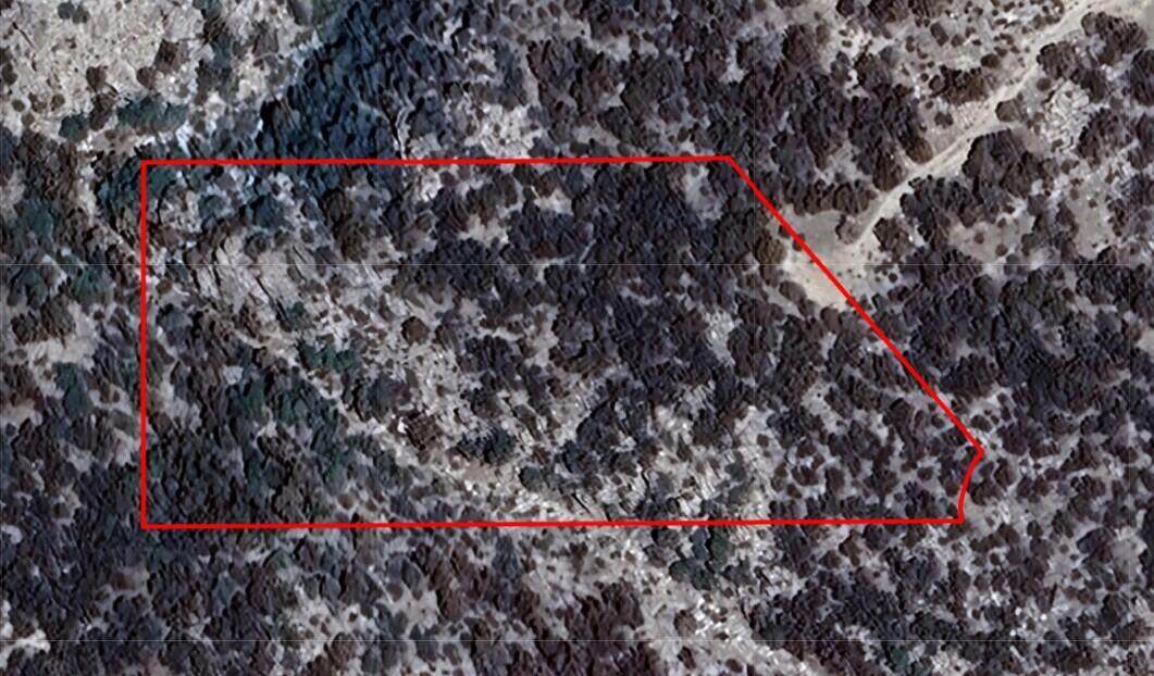 00 Palace Drive - Photo 1