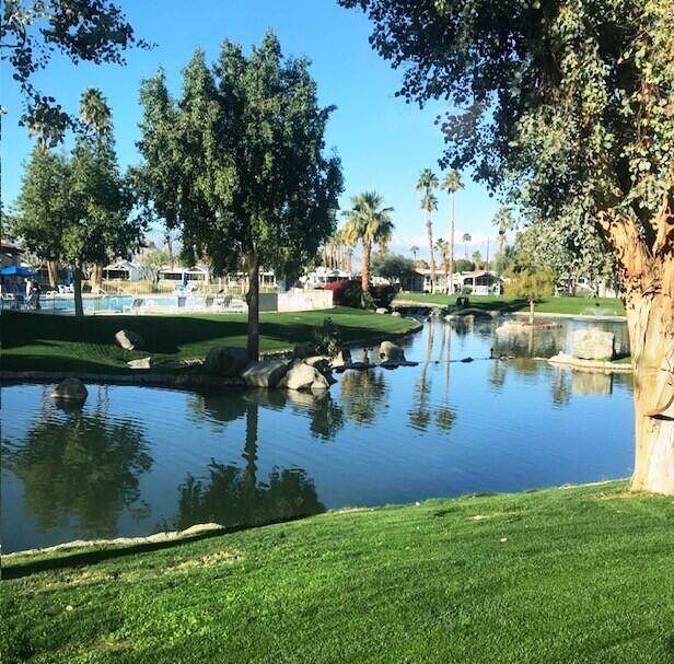 84136 Ave 44, #768 - Photo 1