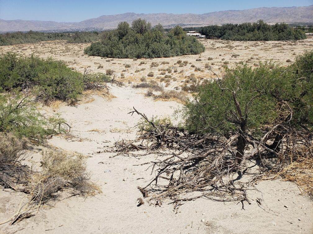 0 Corvado & 20th Avenue Drive - Photo 1