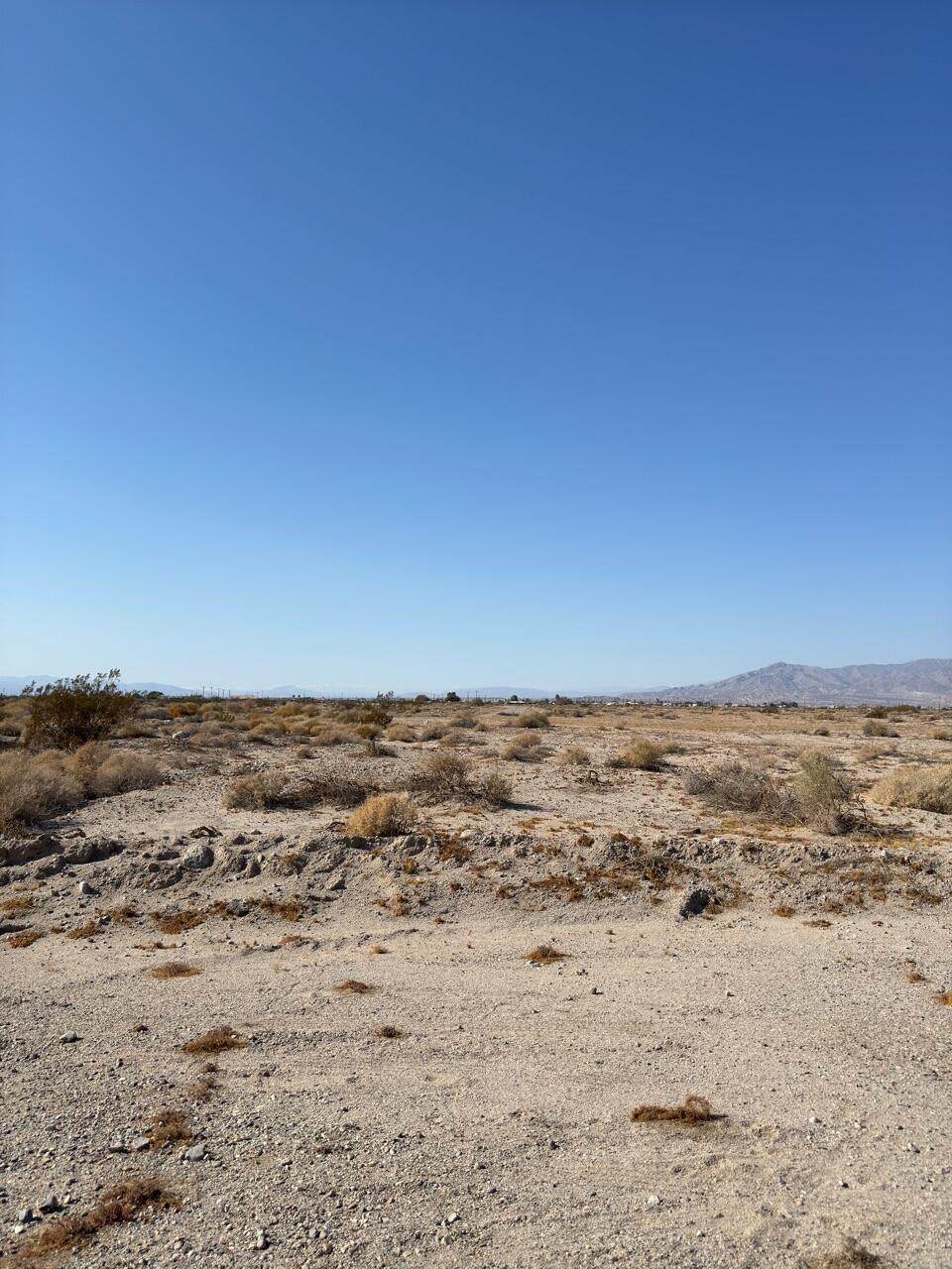 2625 Sea Manor Avenue - Photo 1