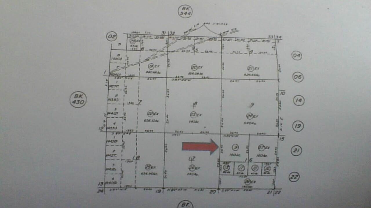 0 Poppet Truck Trail Trail - Photo 1