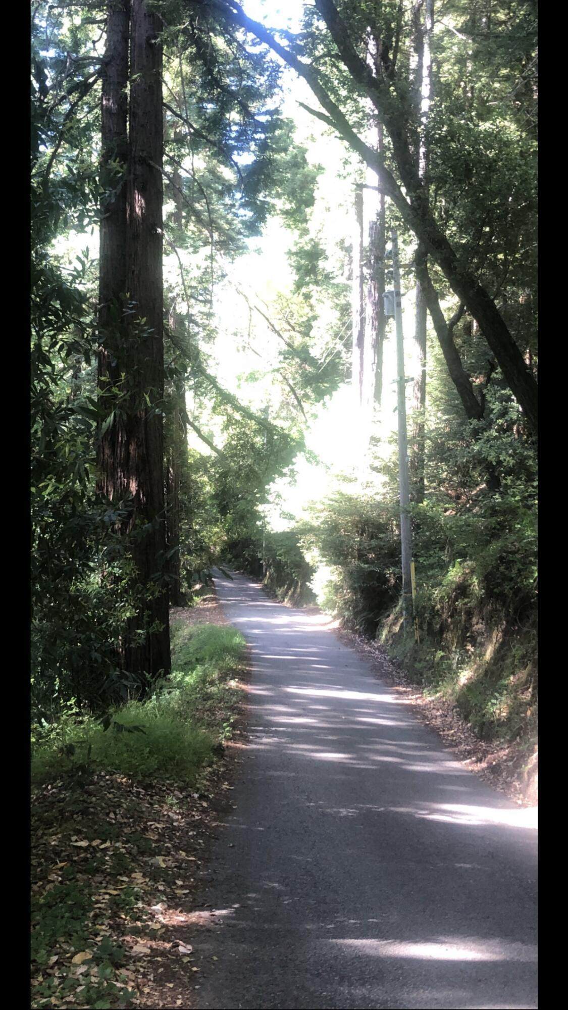 0 Lake Boulevard - Photo 1