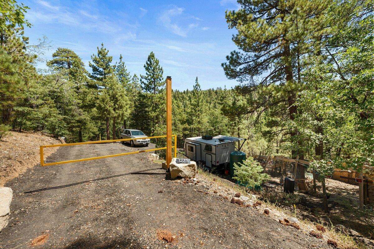 1275 Fawnskin Drive - Photo 1