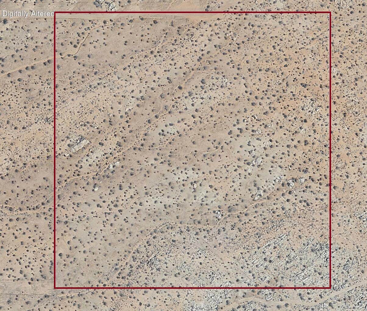 258 Th Street East & Avenue L 14 - Photo 1