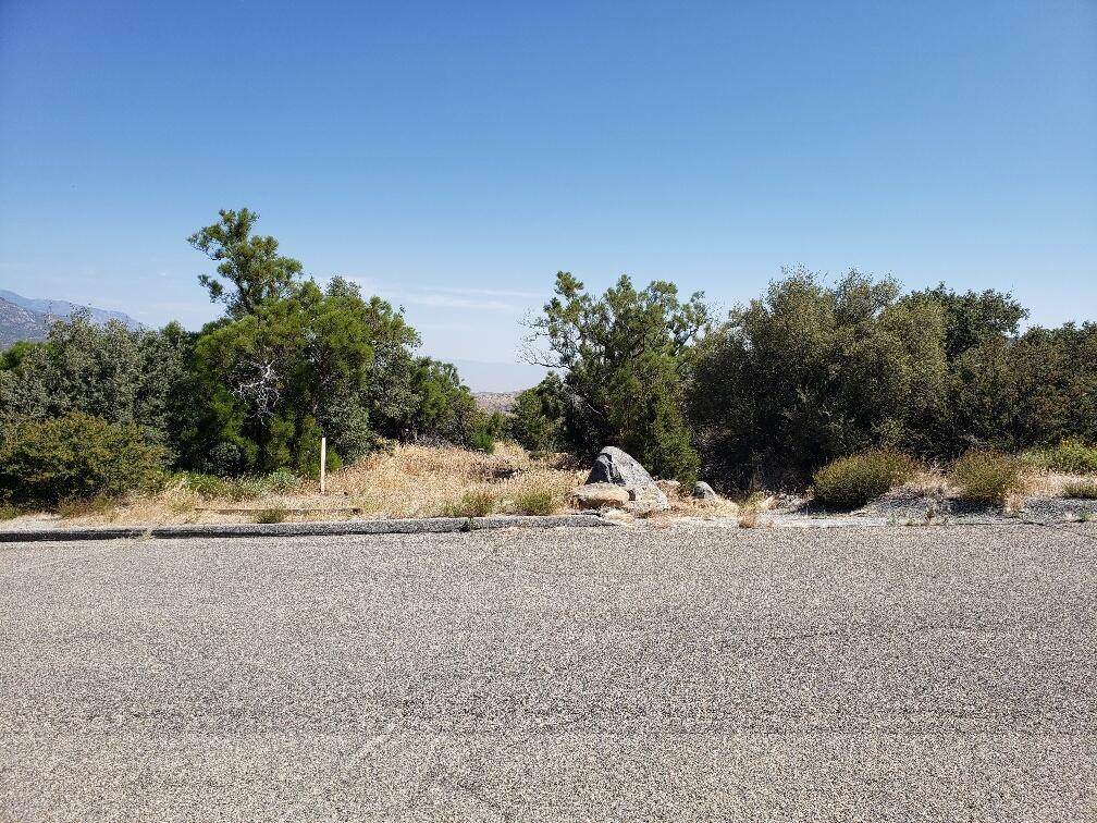 0 Ribbonwood Drive - Photo 1