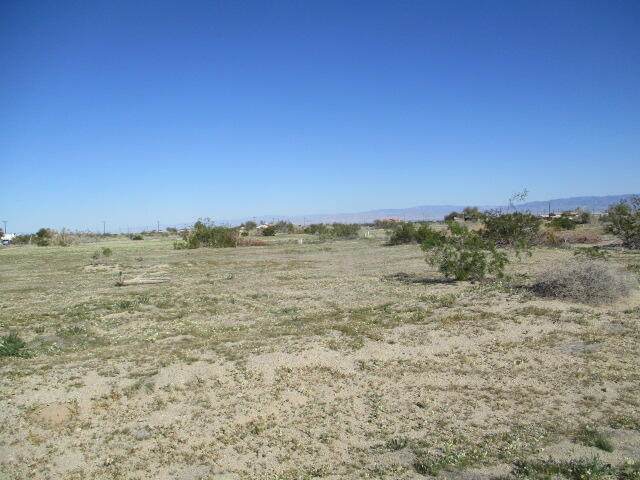 1306 Shore Manor Street - Photo 1