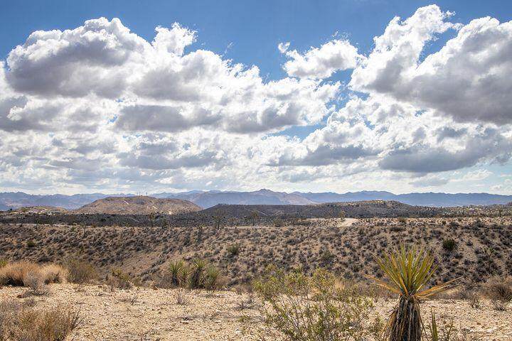 57352 Sunflower Drive - Photo 1
