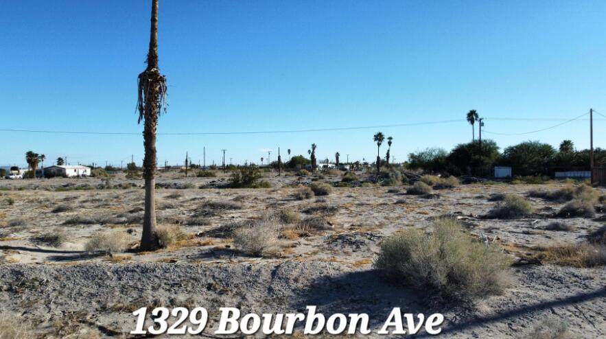 1329 Bourbon Avenue - Photo 1