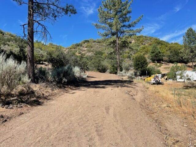 Lot 27 Pipe Creek Road - Photo 1