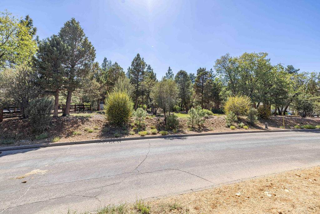 655 Cedar Glen Drive - Photo 1
