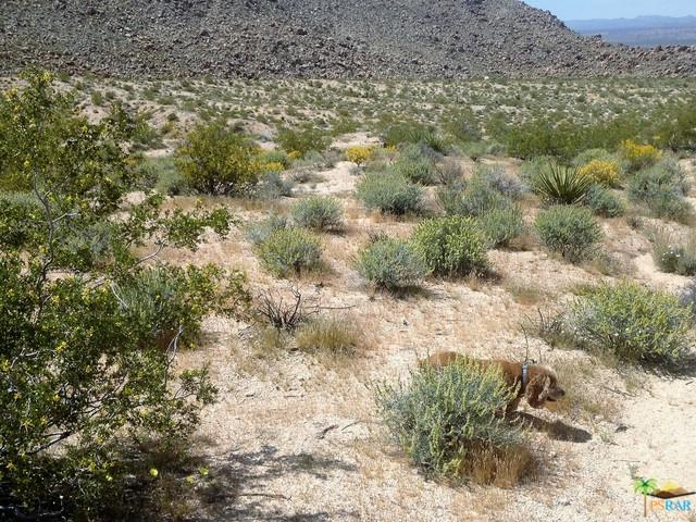 0 Jackass Trail - Photo 1