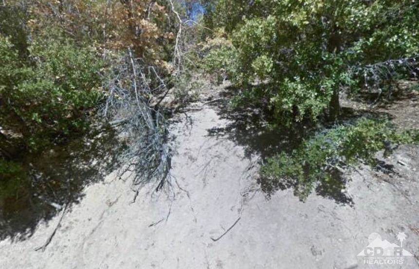 1350 Lover Lane - Photo 1