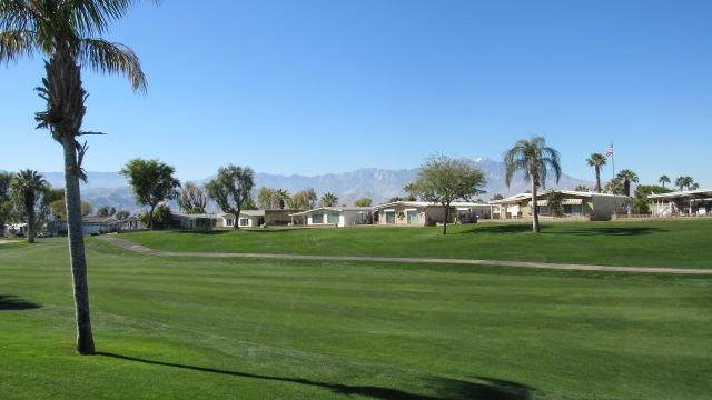 38501 Fawn Springs Drive - Photo 1